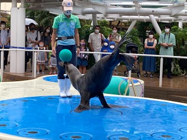 サンシャイン水族館に投稿された画像（2021/8/14）