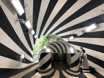 清津峡渓谷トンネルに投稿された画像（2021/8/14）