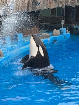 名古屋港水族館に投稿された画像（2021/8/14）