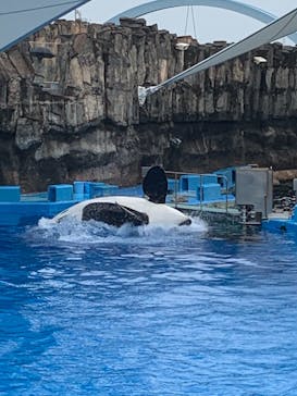 名古屋港水族館に投稿された画像（2021/8/14）