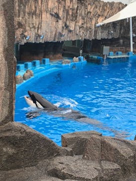 名古屋港水族館に投稿された画像（2021/8/14）
