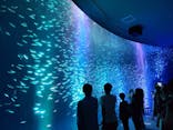 名古屋港水族館に投稿された画像（2021/8/14）