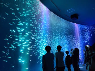 名古屋港水族館に投稿された画像（2021/8/14）