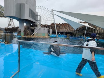 名古屋港水族館に投稿された画像（2021/8/14）