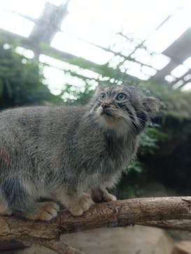 神戸どうぶつ王国に投稿された画像（2021/8/14）