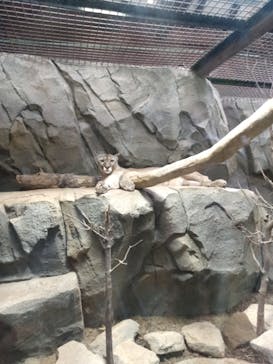 神戸どうぶつ王国に投稿された画像（2021/8/14）