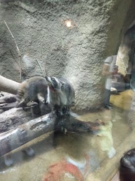 神戸どうぶつ王国に投稿された画像（2021/8/14）