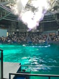 マクセル アクアパーク品川に投稿された画像（2021/8/14）