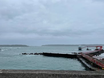 串本海中公園水族館に投稿された画像（2021/8/14）