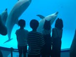 名古屋港水族館に投稿された画像（2021/8/14）