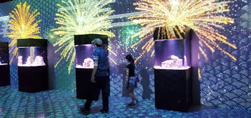 マクセル アクアパーク品川に投稿された画像（2021/8/14）