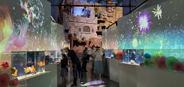 マクセル アクアパーク品川に投稿された画像（2021/8/14）