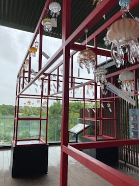 京都水族館に投稿された画像（2021/8/14）