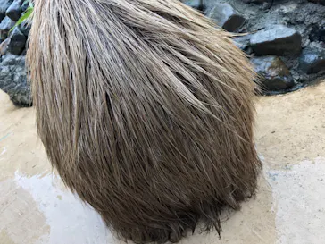 横浜・八景島シーパラダイスに投稿された画像（2021/8/14）