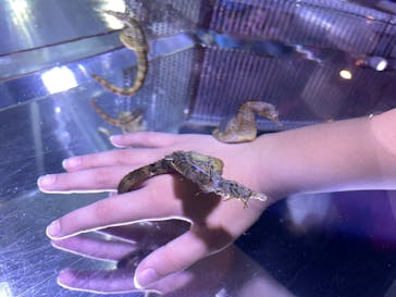 ゼロ距離水族館 伊勢シーパラダイスに投稿された画像（2021/8/14）