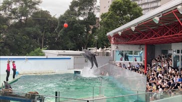 しながわ水族館に投稿された画像（2021/8/14）