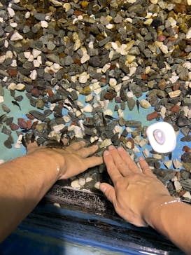 ゼロ距離水族館 伊勢シーパラダイスに投稿された画像（2021/8/14）