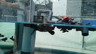 名古屋港水族館に投稿された画像（2021/8/14）