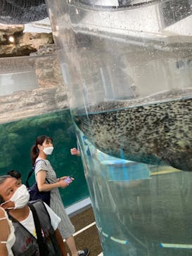 京都水族館に投稿された画像（2021/8/14）