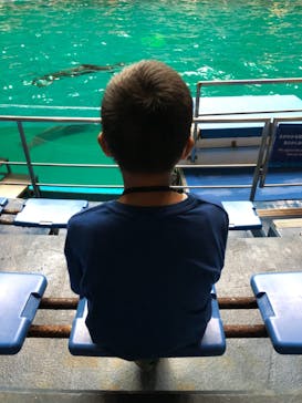 マクセル アクアパーク品川に投稿された画像（2021/8/14）