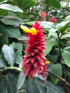 神戸どうぶつ王国に投稿された画像（2021/8/14）