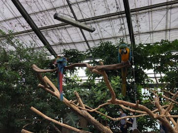 神戸どうぶつ王国に投稿された画像（2021/8/14）