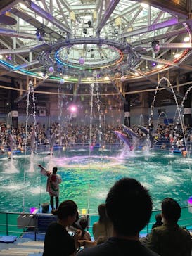 マクセル アクアパーク品川に投稿された画像（2021/8/14）