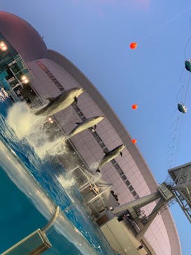 名古屋港水族館に投稿された画像（2021/8/14）