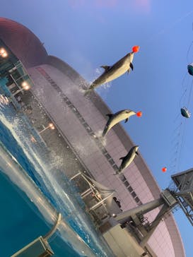 名古屋港水族館に投稿された画像（2021/8/14）