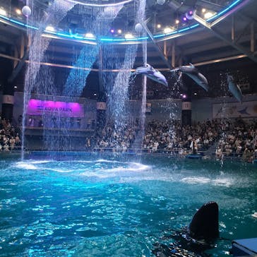 マクセル アクアパーク品川に投稿された画像（2021/8/14）