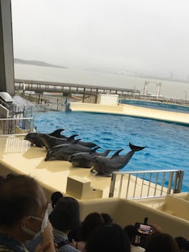 マリンワールド海の中道に投稿された画像（2021/8/14）