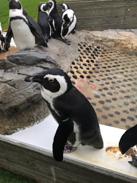 マリンワールド海の中道に投稿された画像（2021/8/14）