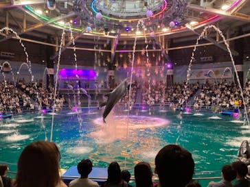 マクセル アクアパーク品川に投稿された画像（2021/8/14）