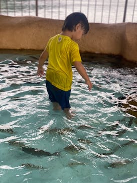 伊豆・三津シーパラダイスに投稿された画像（2021/8/14）