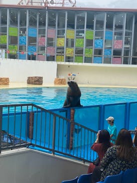 伊豆・三津シーパラダイスに投稿された画像（2021/8/14）