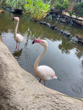 神戸どうぶつ王国に投稿された画像（2021/8/14）