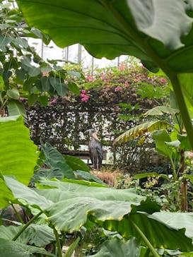 神戸どうぶつ王国に投稿された画像（2021/8/14）