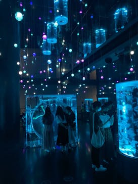 マクセル アクアパーク品川に投稿された画像（2021/8/14）