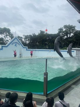しながわ水族館に投稿された画像（2021/8/14）