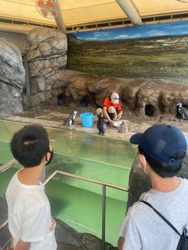 しながわ水族館に投稿された画像（2021/8/14）