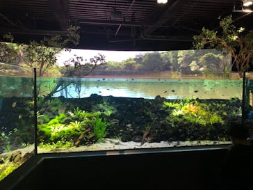 カワスイ 川崎⽔族館に投稿された画像（2021/8/14）