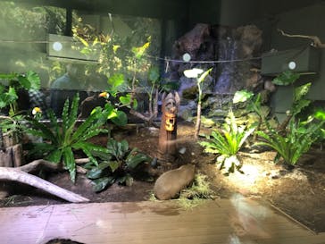 カワスイ 川崎⽔族館に投稿された画像（2021/8/14）