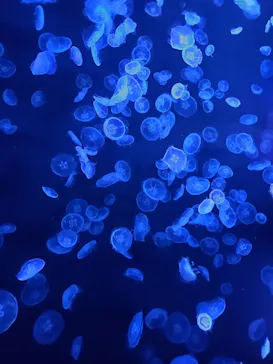 すみだ水族館に投稿された画像（2021/8/14）