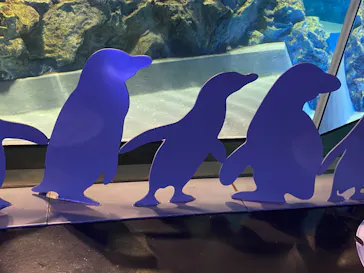 すみだ水族館に投稿された画像（2021/8/14）