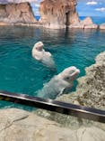 名古屋港水族館に投稿された画像（2021/8/14）