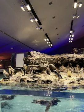 すみだ水族館に投稿された画像（2021/8/14）