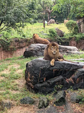 天王寺動物園に投稿された画像（2021/8/14）