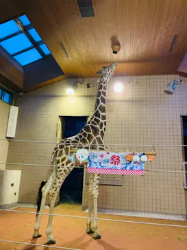 天王寺動物園に投稿された画像（2021/8/14）