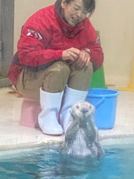 鳥羽水族館に投稿された画像（2021/8/14）