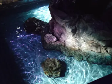 すみだ水族館に投稿された画像（2021/8/14）